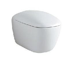 Pozzi Ginori Citterio Vaso Sospeso con chiusura rallentata