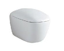 Pozzi Ginori Citterio Vaso Sospeso con chiusura rallentata