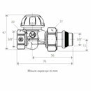 Giacomini R15TG detentore diritto 3/8" per radiatori