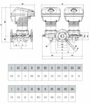 Circolatore elettronico gemellare Dab Evoplus D 120/250.40 M 465 W