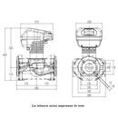 Dab Evoplus D 100/340.65 M circolatore elettronico gemellare 590 W