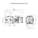 Dab Jet 82 M IE2 elettropompa centrifuga autoadescante 0,55 kW 60213265H