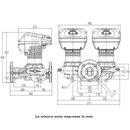 Circolatore elettronico gemellare Dab Evoplus D 60/450.100 M 760 W
