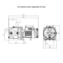 Dab JET 132 M IE2 elettropompa centrifuga autoadescante 230V 0,85 kW