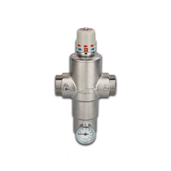 Miscelatore termostatico antiscottatura Ecosan RP306 DN50 River 2" pretarato 45°C