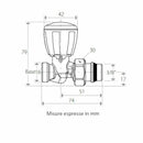 Giacomini R432TG valvola micrometrica termostatizzabile diritta 3/8"x16