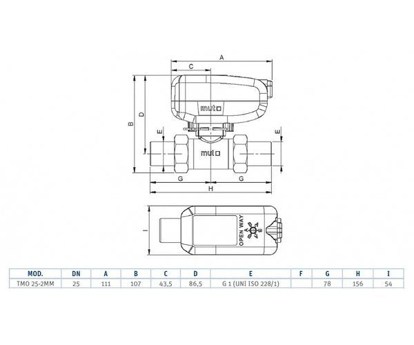 Valvola di zona TMO25-2MM SPST M1S Mut a 2 vie motorizzata con relè 1" MM