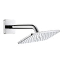 Soffione doccia Raindance E Hansgrohe 27370000 getto RainAir 25 x 15 cm