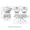 Circolatore elettronico gemellare Dab Evoplus D 80/240.50 M 330 W