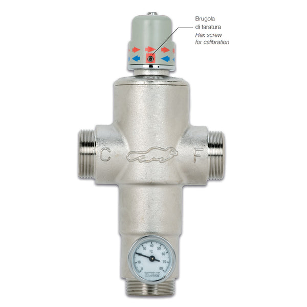 River Ecosan RP305DN40 miscelatore termostatico antiscottatura 1"1/2
