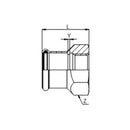 Manicotto filettato femmina - a pressare inox 190