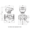 Dab Evoplus B 150/340.65 M circolatore elettronico singolo 1210 W