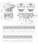 Dab Evoplus D 60/240.50 M, circolatore gemellare, interasse 24 cm, prevalenza 6 m